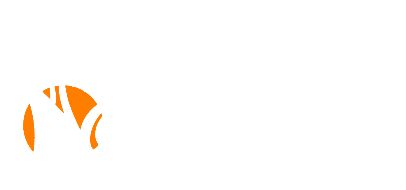Udaipur Sightseeing Day Tour
